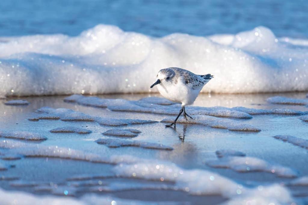 Hoekje Up Katwijk aan Zee Esterno foto